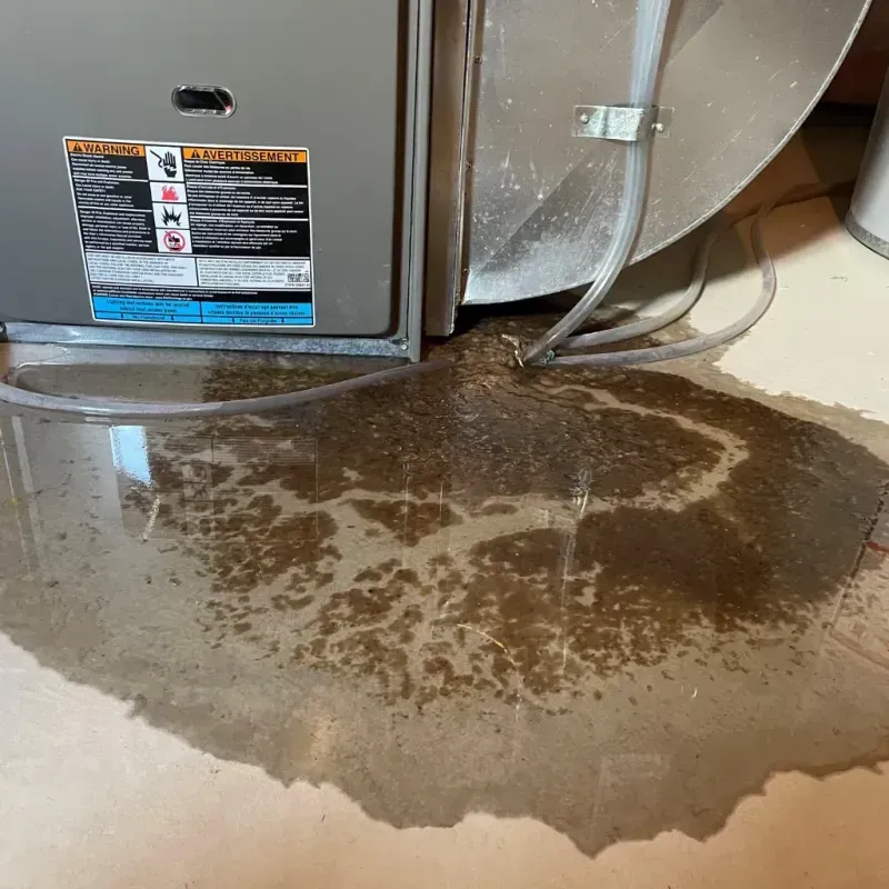 Appliance Leak Cleanup in Macon County, AL